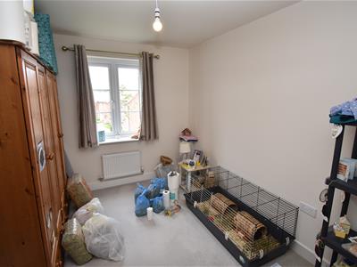 Picture 15